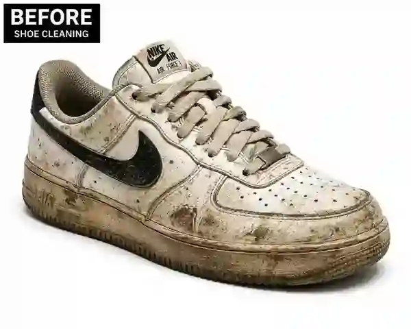 Shoe before professional cleaning